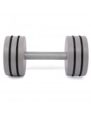 Гантель цільна PERTO Gray 10.0 кг D120